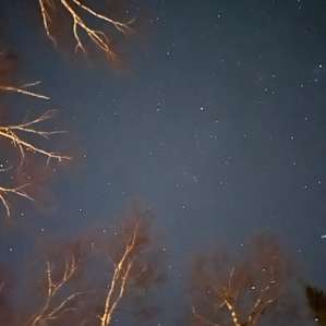 Stars galore!