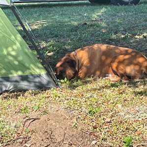 She’s tired after a long day on the ranch.