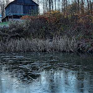 The pond.