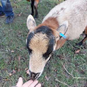 River Rock Farm