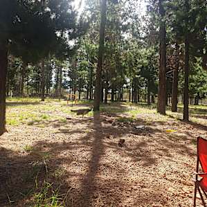 Little Eeden Pine Camp