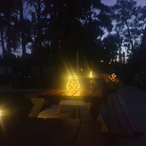 Little Eeden Pine Camp