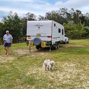 Husband and puppies stretching their legs glad to be at our destination for the night.