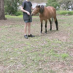 Riverfront Hobby Farmstay