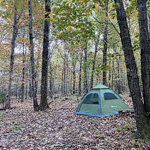 "The Ridge" on Wallin' Mountain