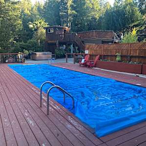 View from dining area to tree house