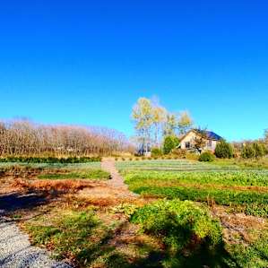 view of herb field and farm store