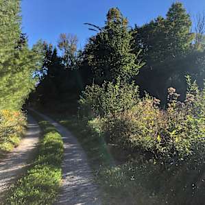 Waterfront Forest Campground