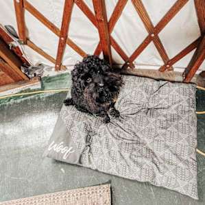 There was even a dog bed in the yurt