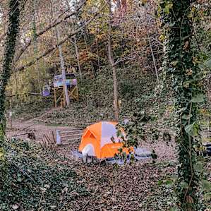 Baying Hound Campground *SITE 2*
