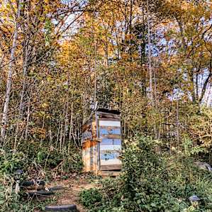 Baying Hound Campground *SITE 2*