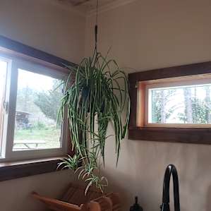 Sweetgrass Cabin