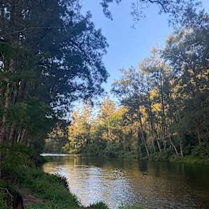 Darkwood River Flats