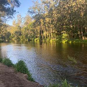 Darkwood River Flats