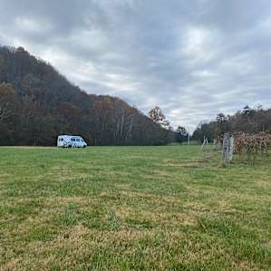 Vineyards and winery
