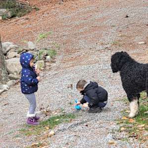 The kids and the vineyard dog