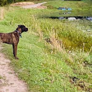 Stanmore Farmstay