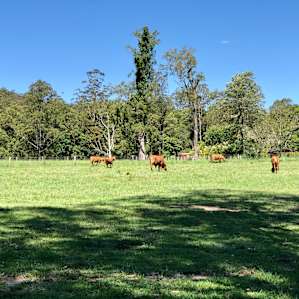 Stanmore Farmstay