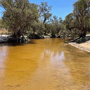 Moore River Camping: Exclusive