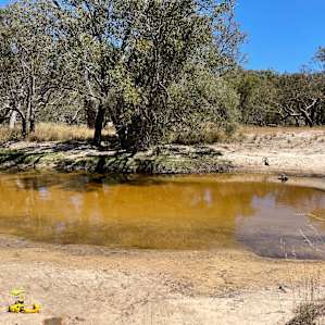 Moore River Camping: Exclusive