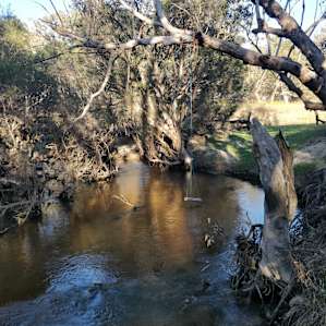 Cute little rope swing in nice shady spot