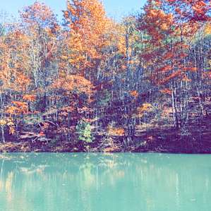 Pond within walking distance.