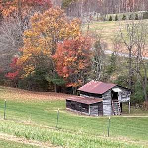 View from the property.