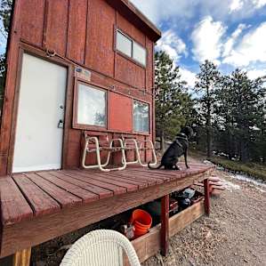 NEVERLAND Cabin Wilder