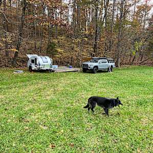 Camping platforms/A frame.meadow