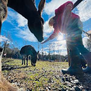 Farm Animal Rescue - RV Site