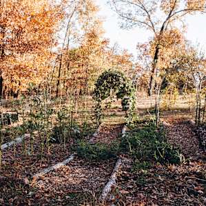 From part of the garden tour! Even with the cold weather, the host made sure we got to see all there was to offer and told us about each plant/system they have growing/going!