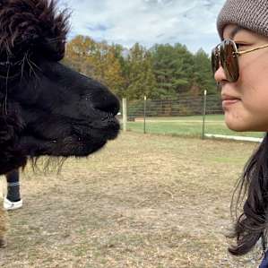 One of two extremely friendly alpacas that let us pet them!