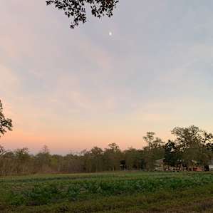 View from walk to campsite toward the field.