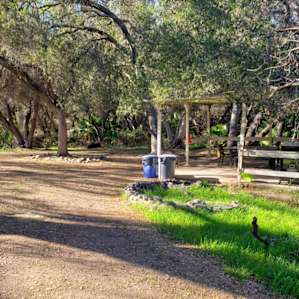 Campsite overview