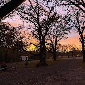 Manna Farm