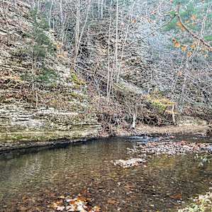 Savage Acres: Maple Knoll