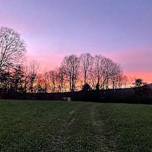 Savage Acres: Maple Knoll
