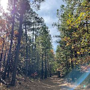 Petit Jean State Park