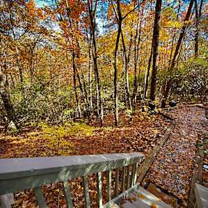 Boho Cabin in the Woods - 5mi Helen