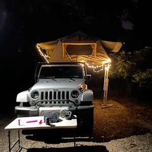 Camper Van Parking in the forest