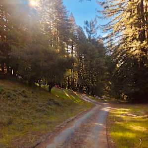 Morning walks to water, showers, and restrooms. Site 12