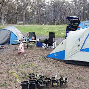 campsite no 5