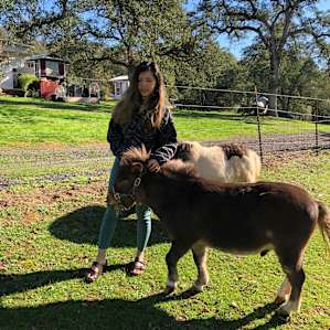MOMMAPEGGS SEIRRA/YOSEMITE GETAWAY