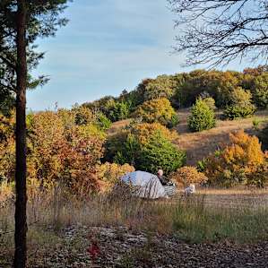 View of the site from the access trail.