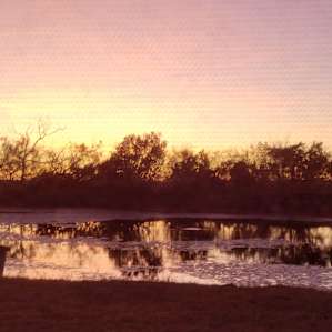 The view of the tank at sunset.