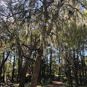 Camping at Magnolia Gardens park