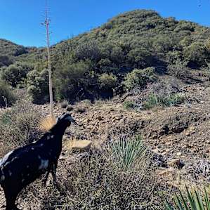 Mountain Getaway at El Deseo Ranch