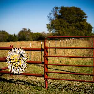 Entering the Bee Happy Farm!