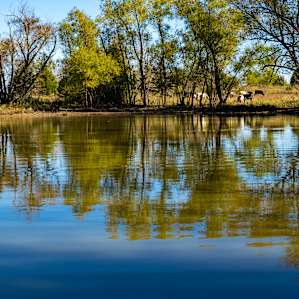 Beautiful pond on the property with a nice dock!