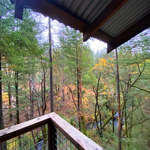 The Sanctuary Treehouse